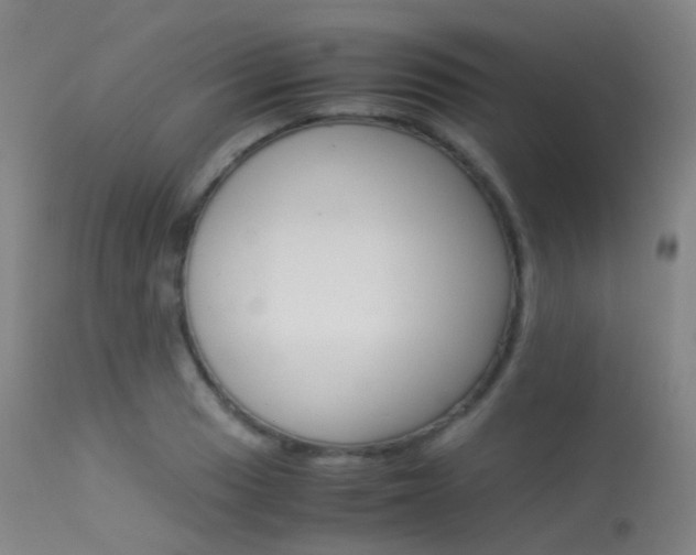 X0000113541033200909181019