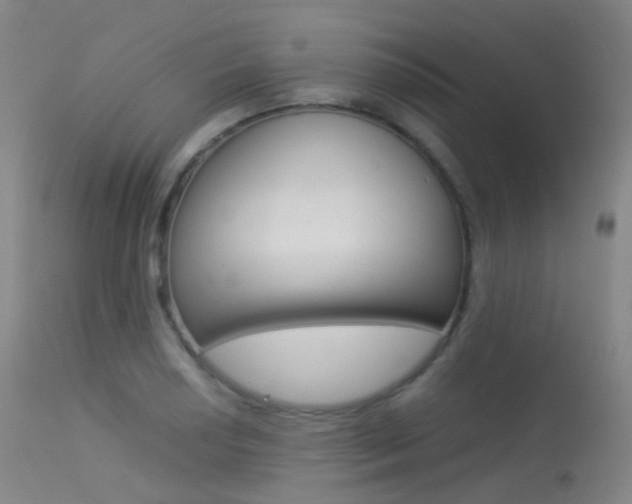 X0000113541034200909181019
