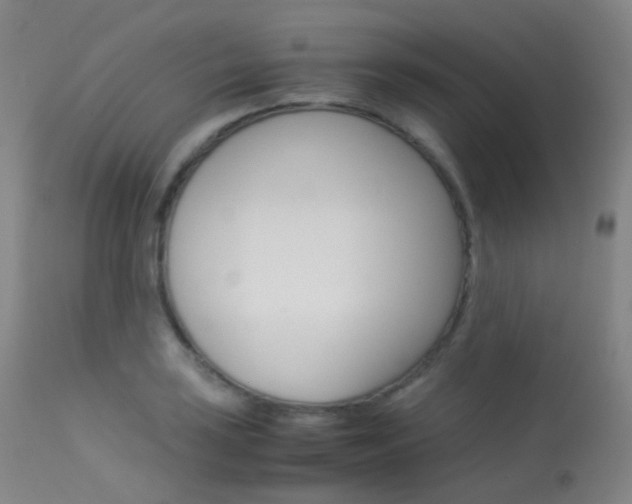 X0000113541035200909181019