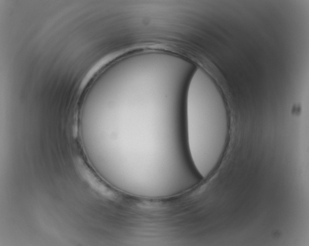 X0000113541036200909181019