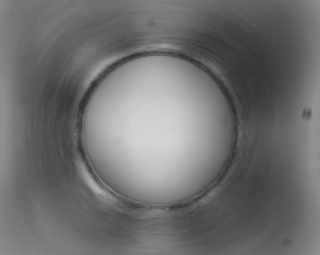 X0000113541038200909181019