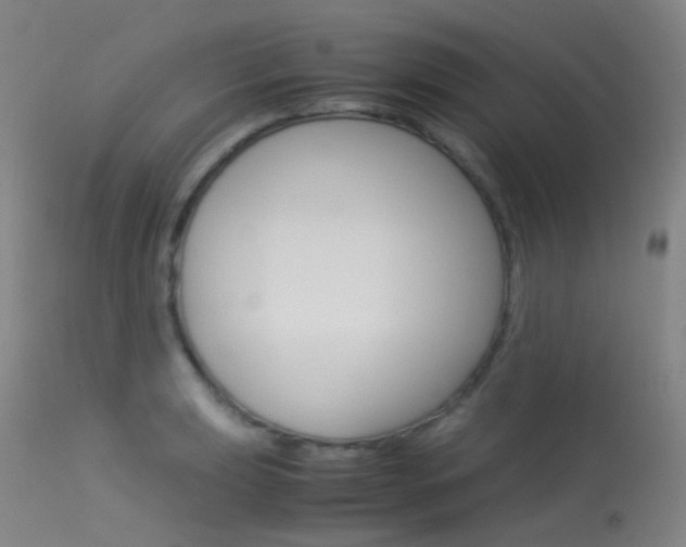 X0000113541039200909181019