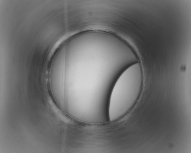 X0000113541040200909181019