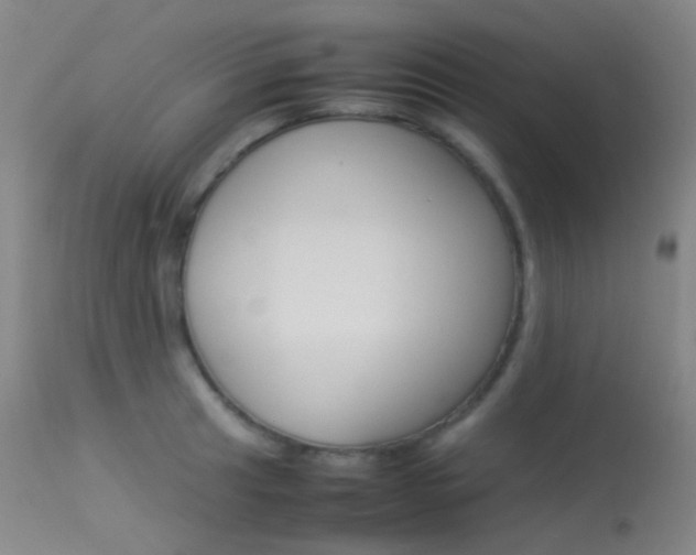 X0000113541041200909181019
