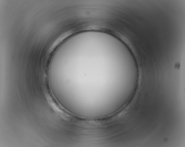 X0000113541042200909181019