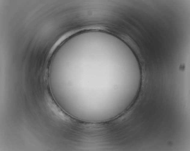 X0000113541044200909181019