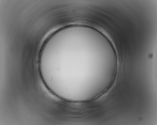 X0000113541045200909181019
