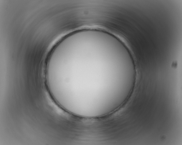 X0000113541046200909181019