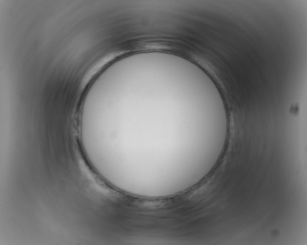 X0000113541047200909181019