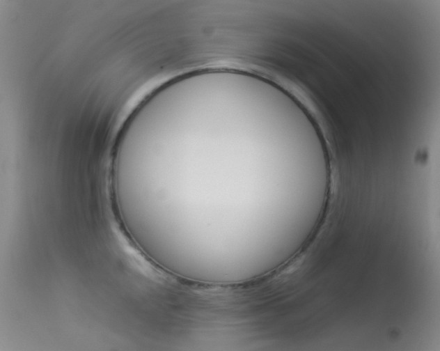 X0000113541048200909181019