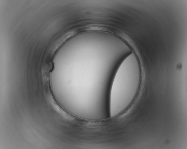 X0000113541049200909181019
