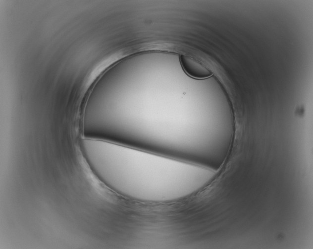 X0000113541050200909181019