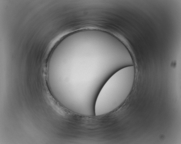 X0000113541051200909181019