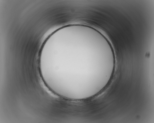 X0000113541053200909181019