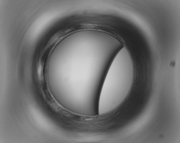 X0000113541054200909181019