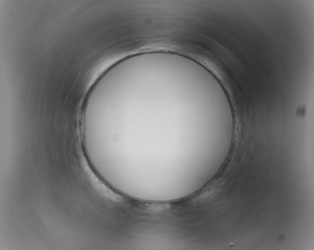 X0000113541055200909181019