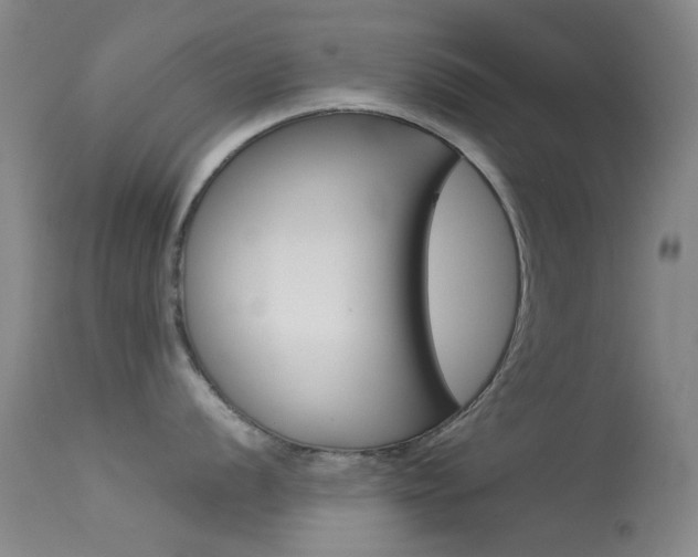 X0000113541056200909181019