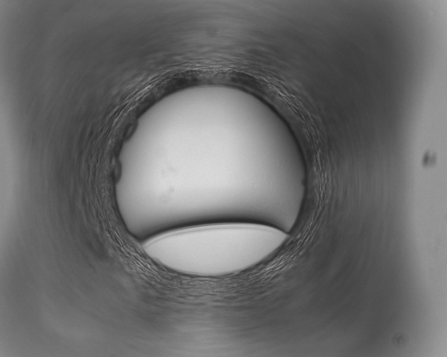 X0000113541057200909181018