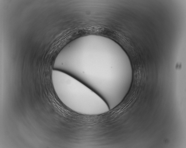 X0000113541058200909181018