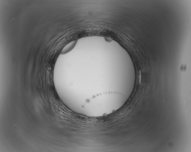 X0000113541059200909181018