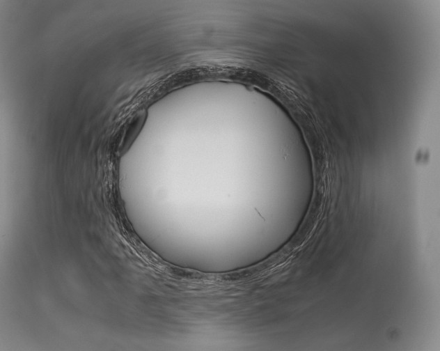 X0000113541061200909181018