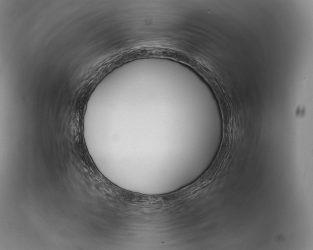 X0000113541062200909181018