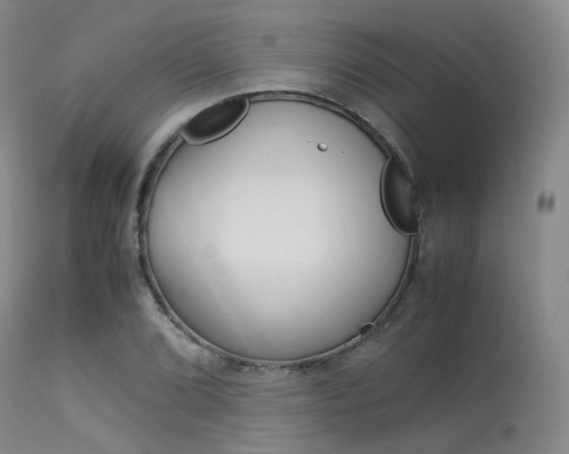 X0000113541072200909181018