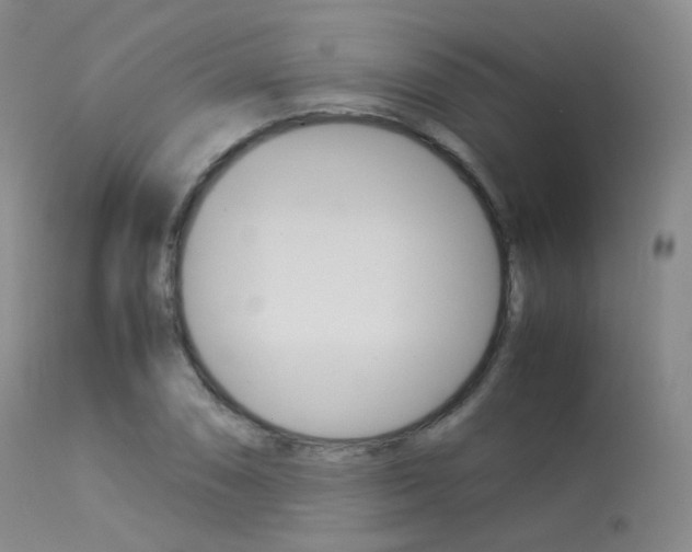 X0000113541074200909181018