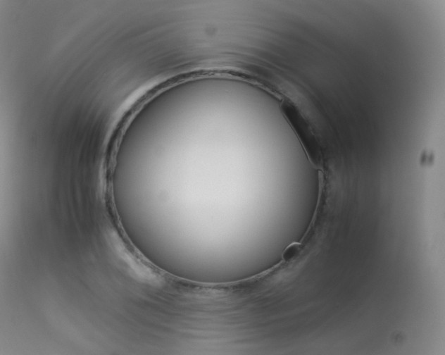X0000113541076200909181018