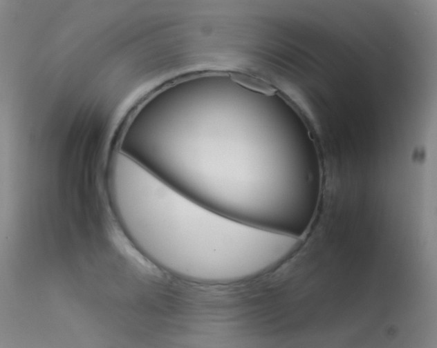 X0000113541080200909181018