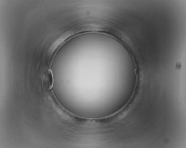 X0000113541081200909181018