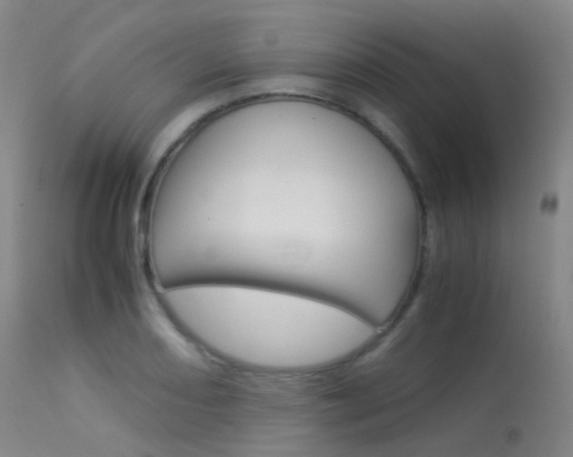 X0000113541082200909181018