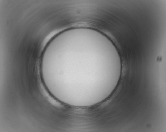 X0000113541086200909181018
