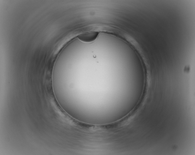 X0000113541089200909181018