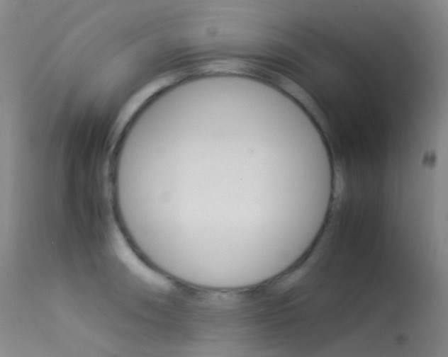 X0000113541090200909181018