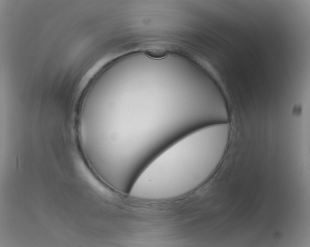 X0000113541091200909181018