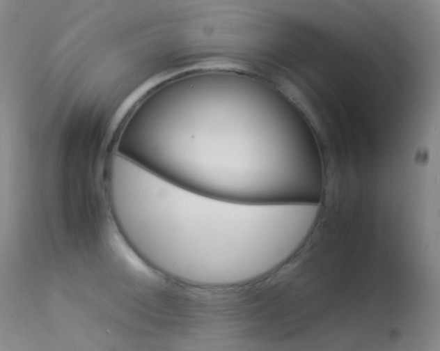 X0000113541092200909181018