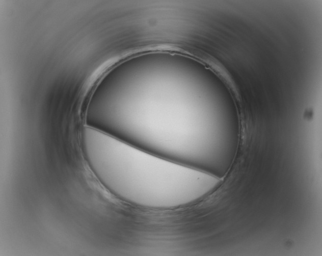 X0000113541096200909181018