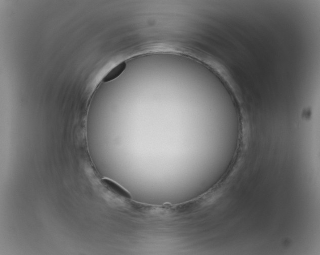 X0000113541097200909181018