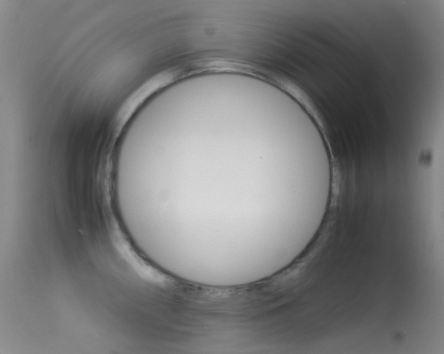 X0000113541098200909181018