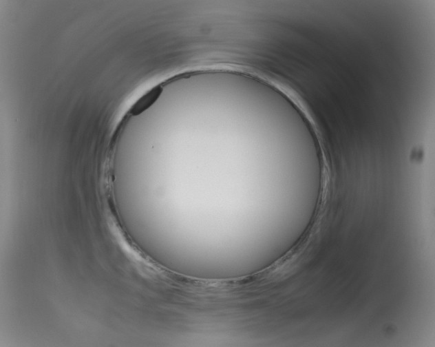 X0000113541101200909181017