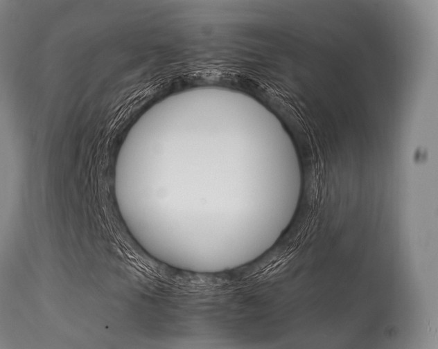 X0000113541105200909181016