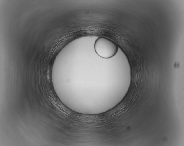 X0000113541106200909181016