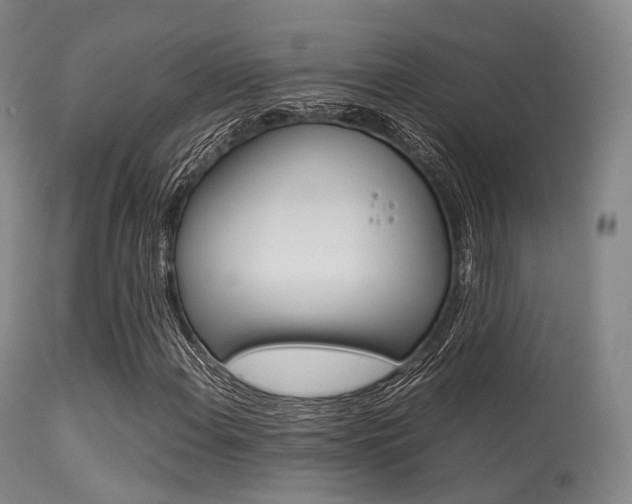 X0000113541108200909181016