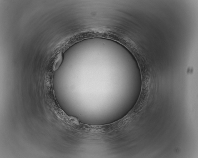 X0000113541110200909181017