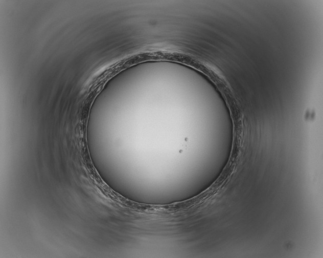 X0000113541112200909181017