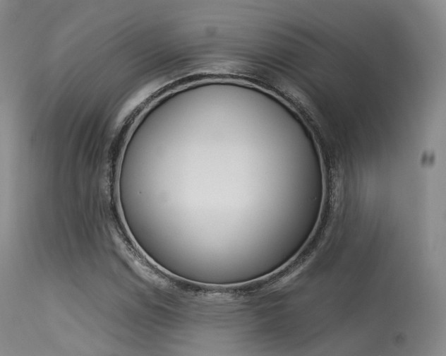 X0000113541114200909181017