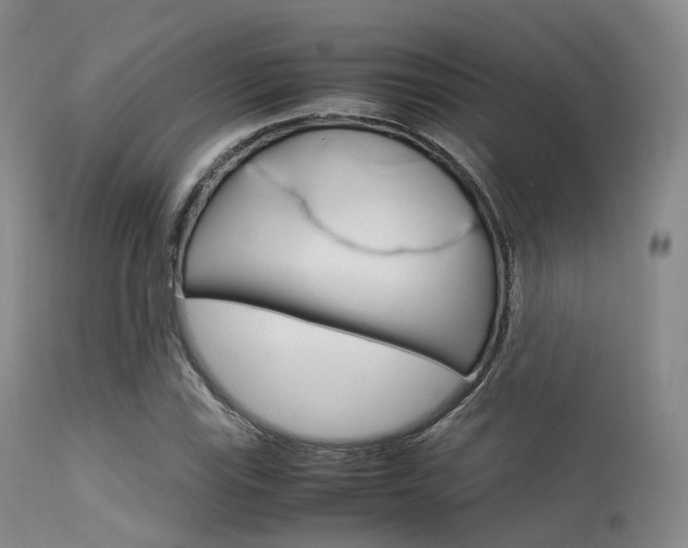 X0000113541115200909181017