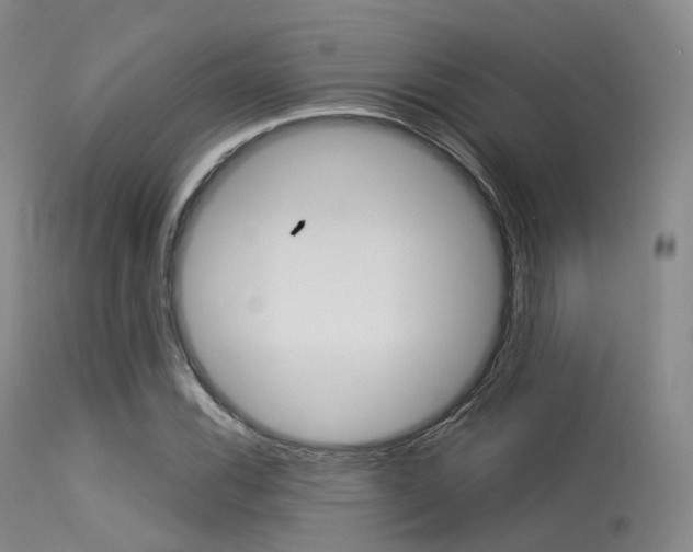 X0000113541116200909181017