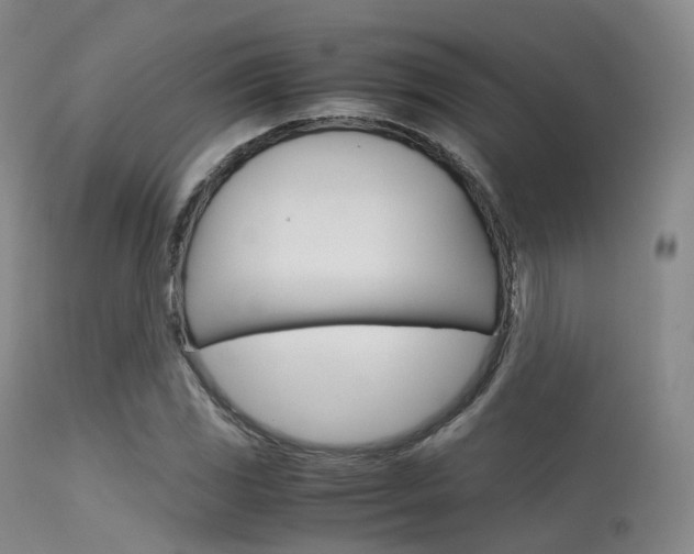 X0000113541117200909181017